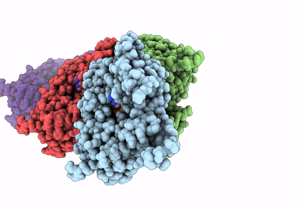 3J8I image