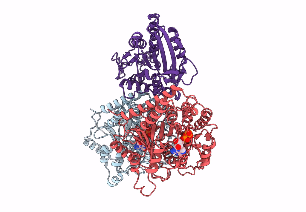 3J8X image