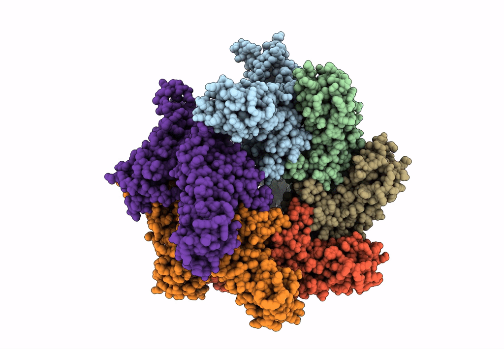 3J95 image