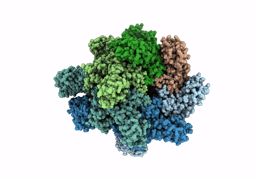 3J98 image