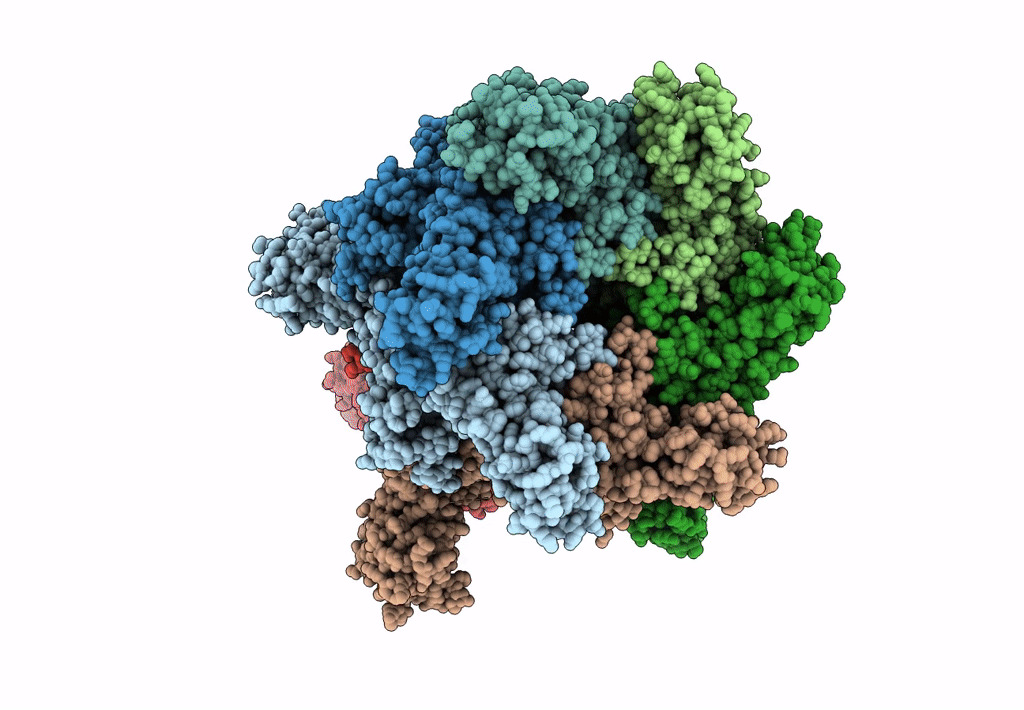 3J99 image