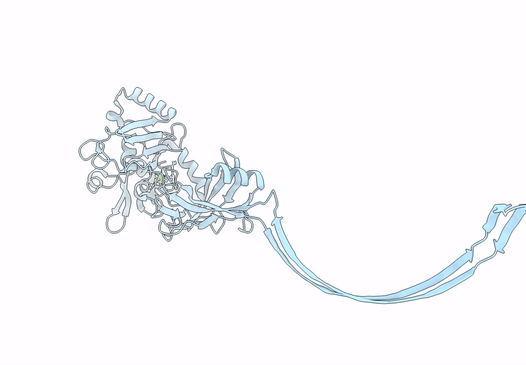 3J9C image