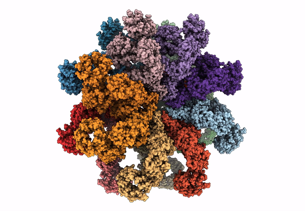 3J9L image