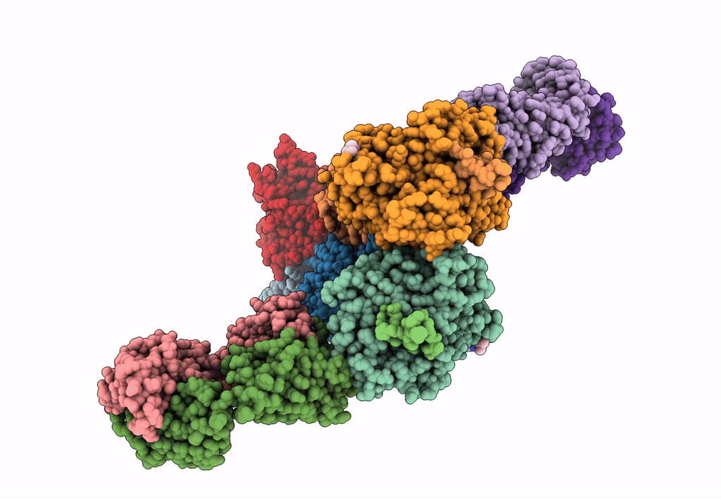 3JAB image