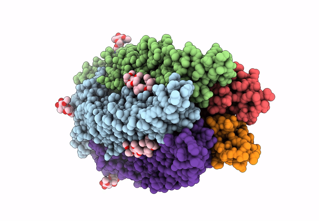 3JAF image