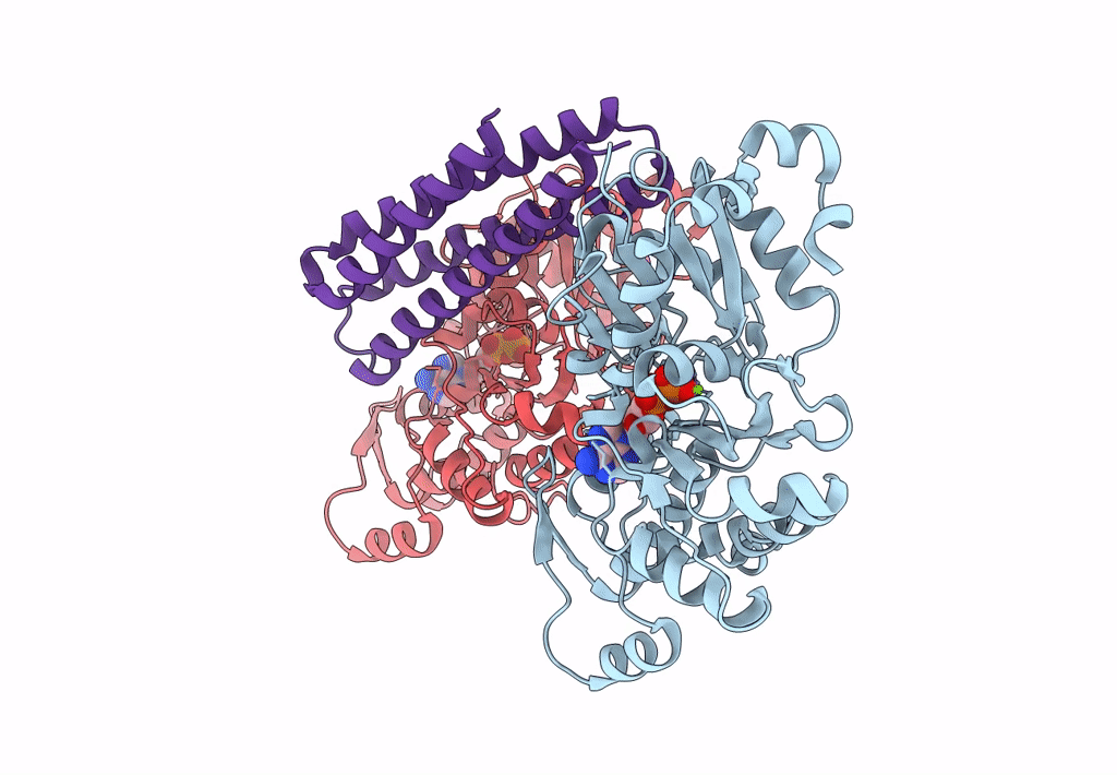 3JBI image