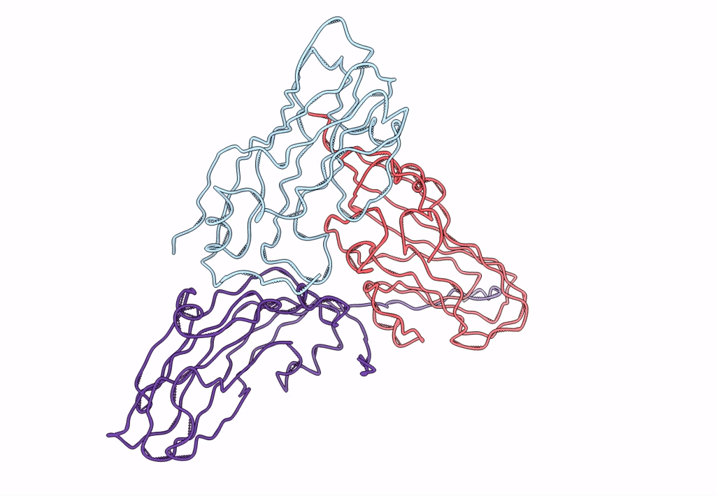 3JBM image