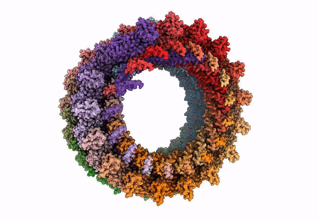 3JC1 image