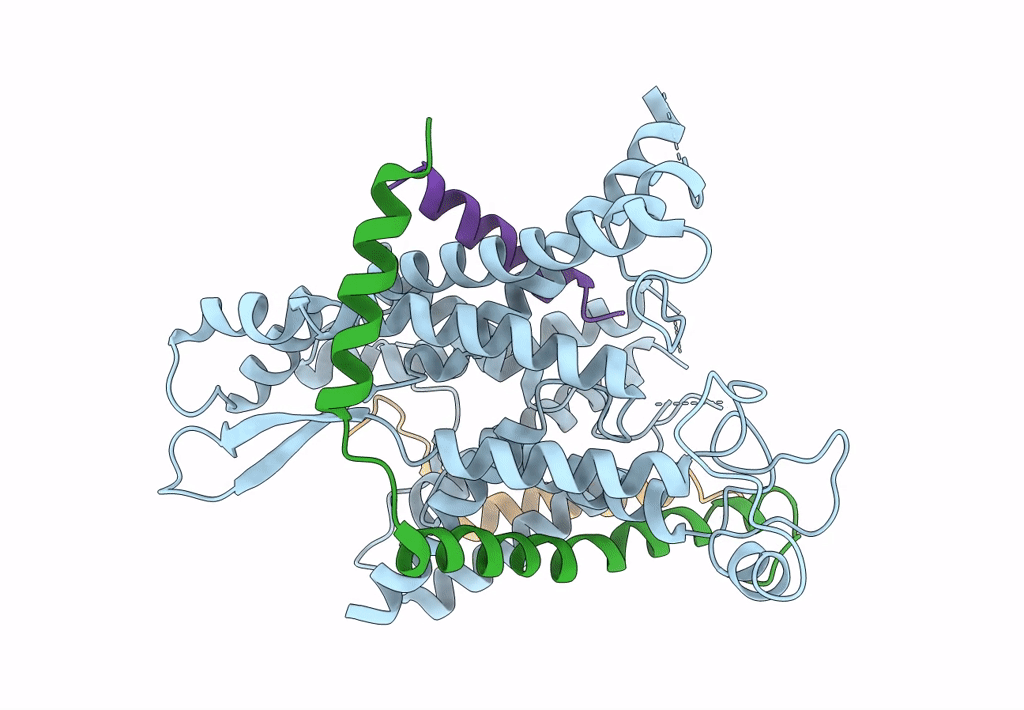 3JC2 image
