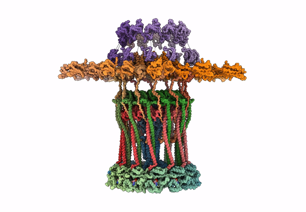 3JC9 image