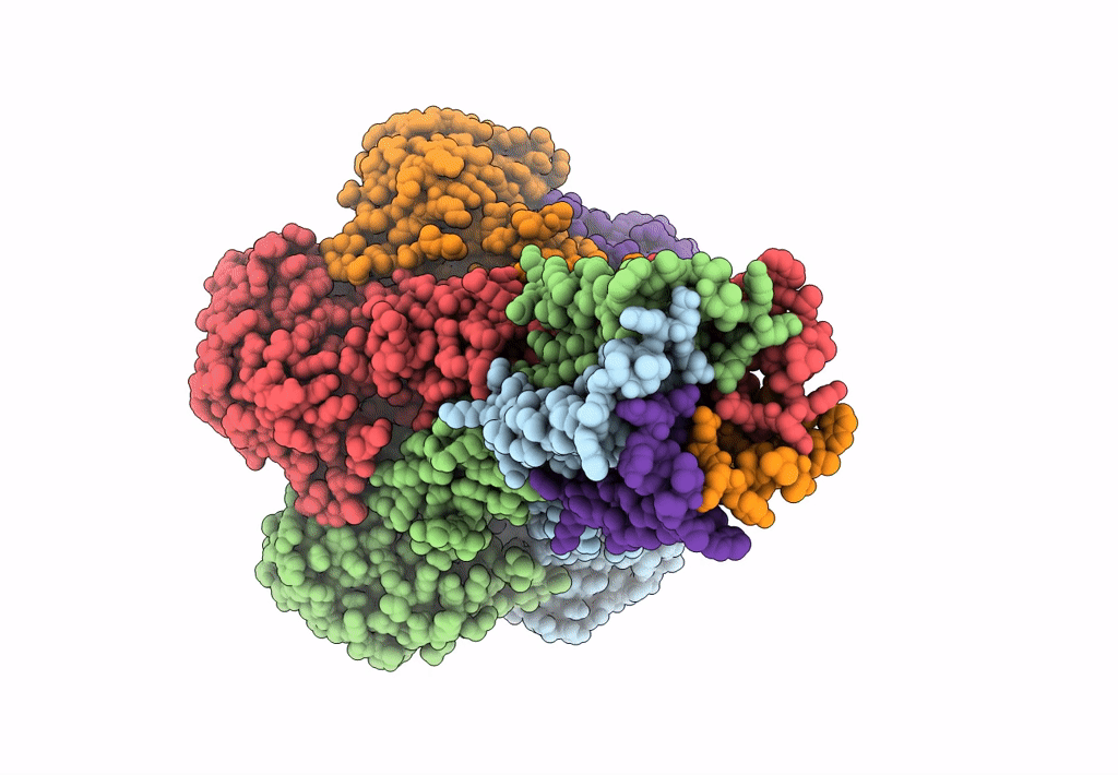 3JCF image