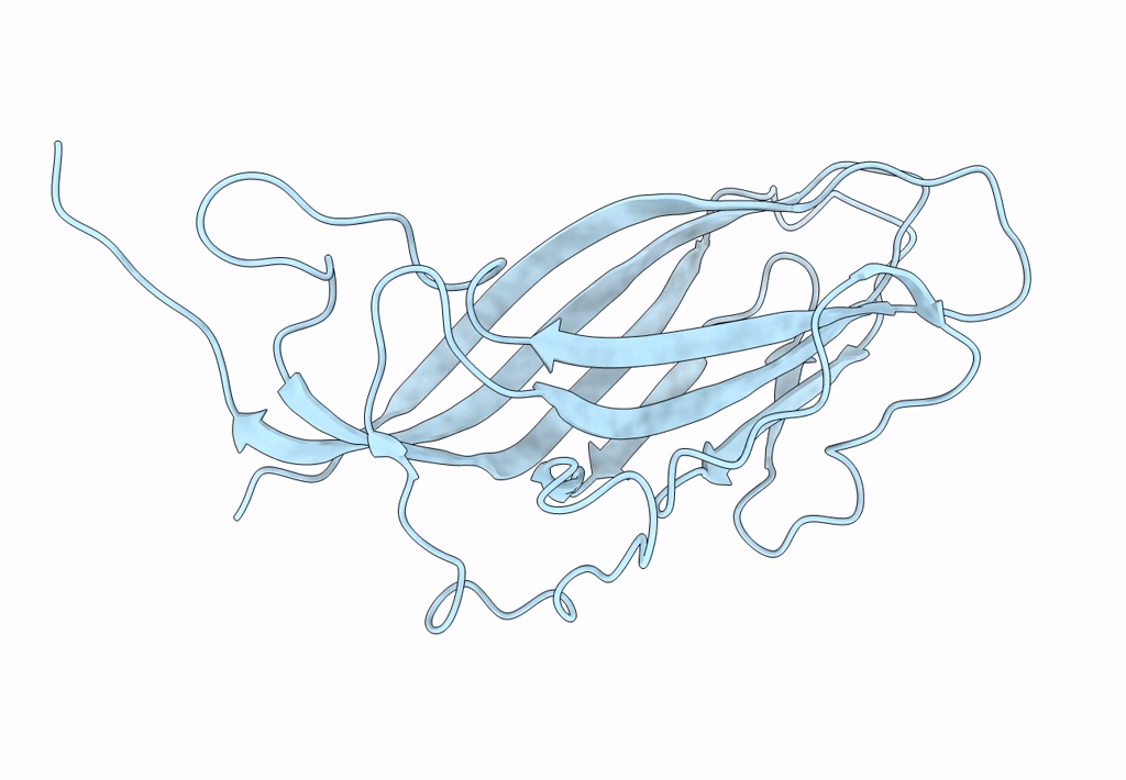 3JCI image