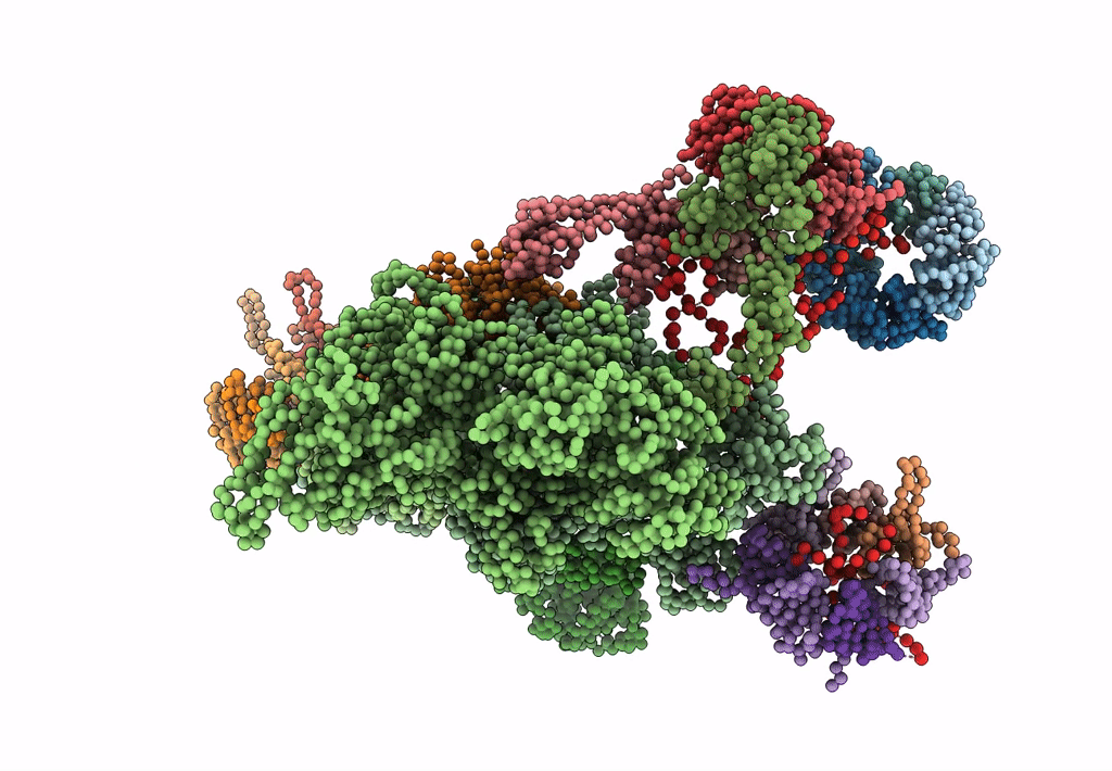 3JCR image