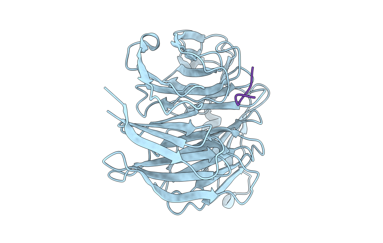 3JPX image