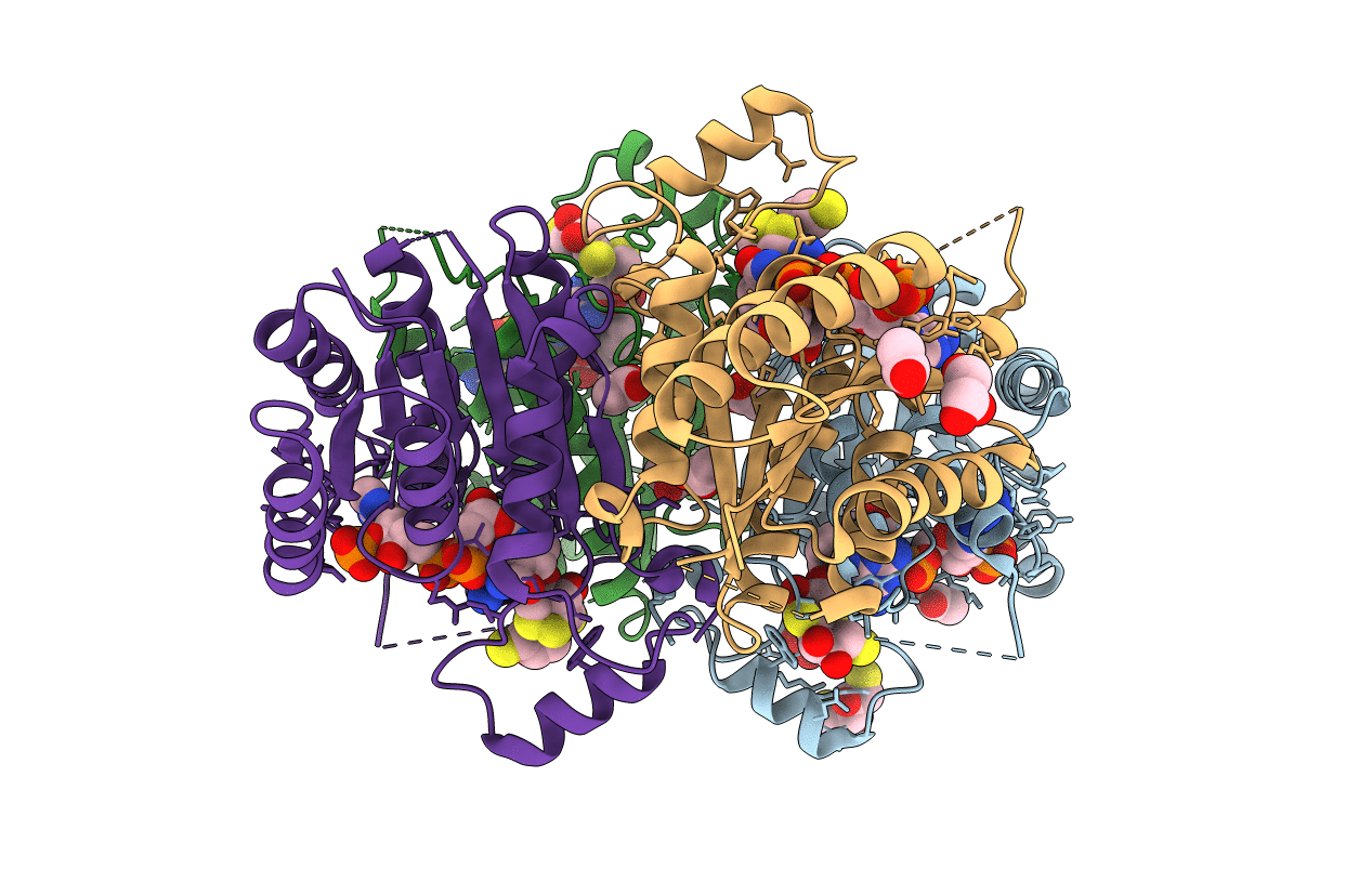 3JQF image