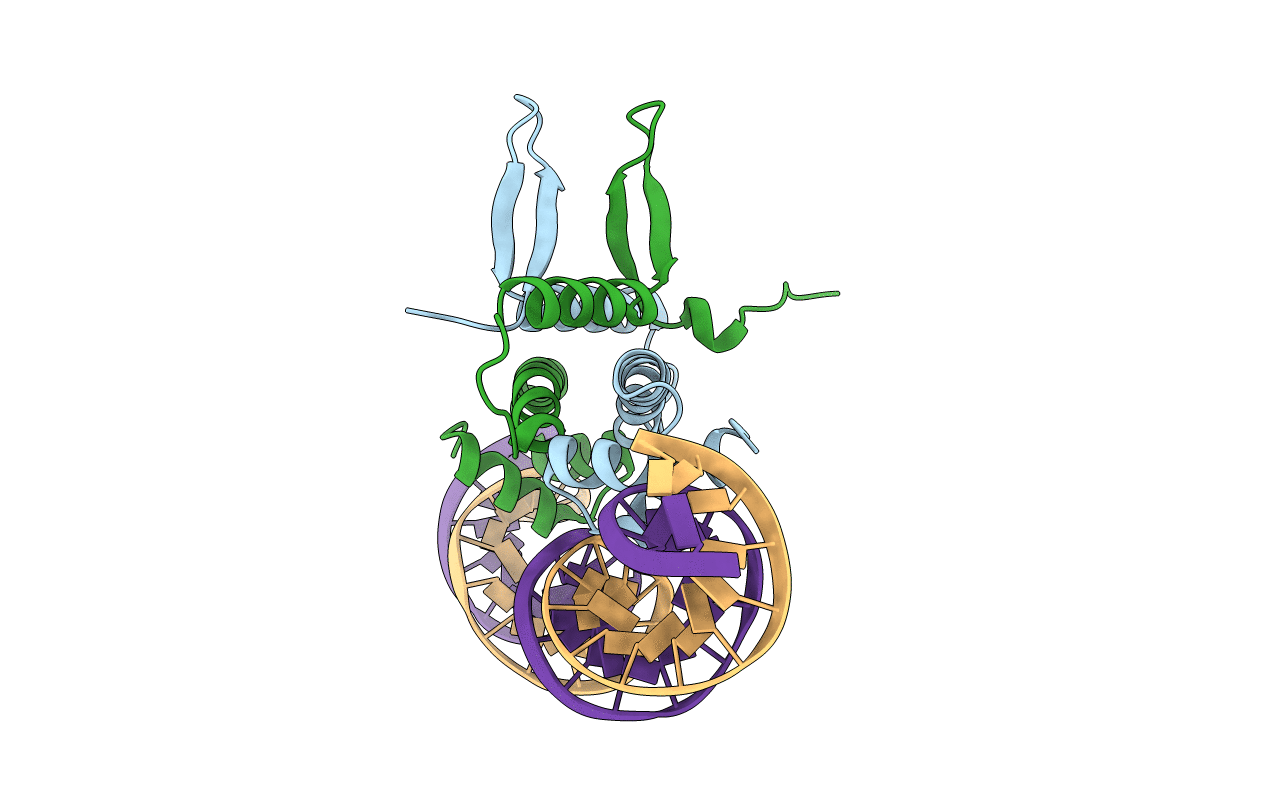 3JRF image