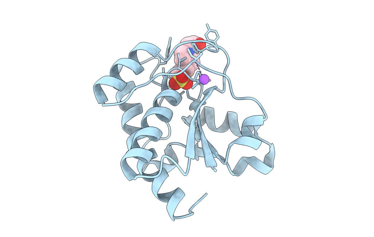 3JS5 image