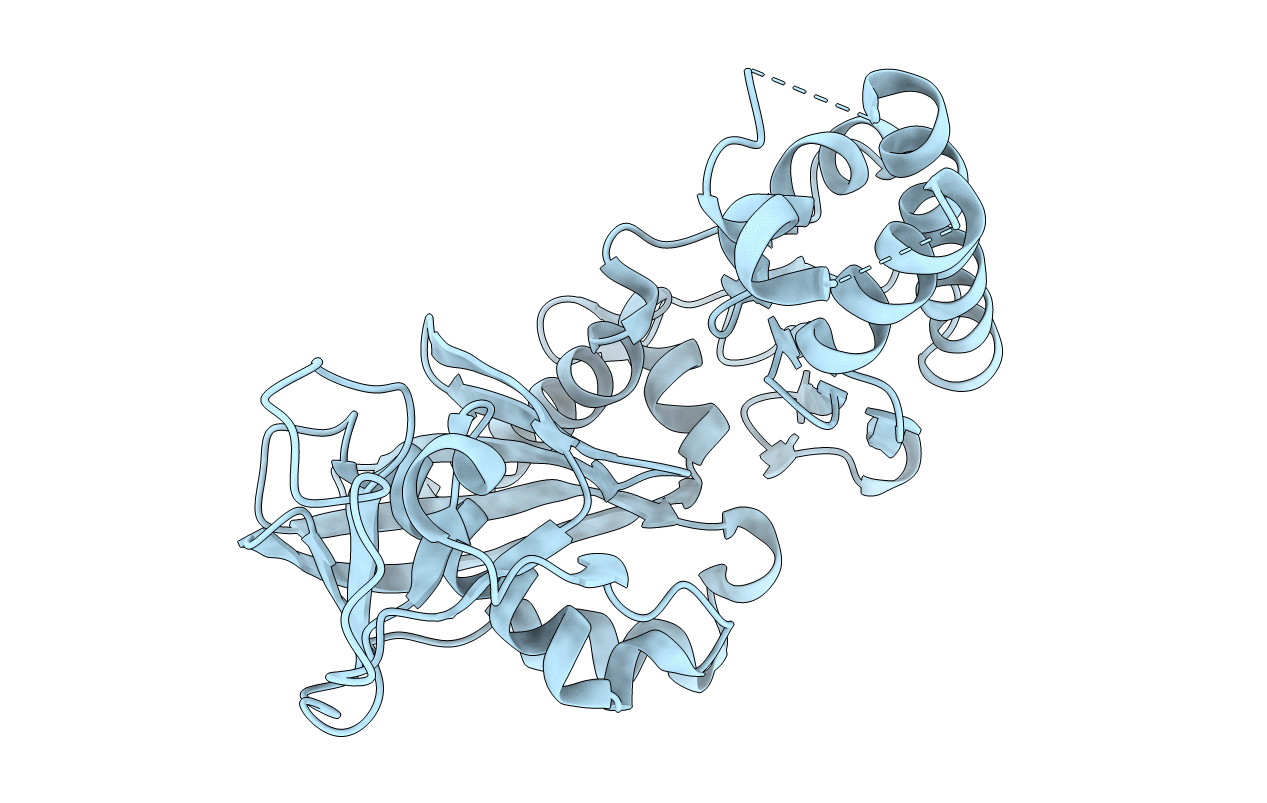 3JS6 image