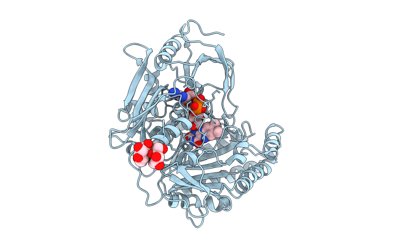 3JS8 image