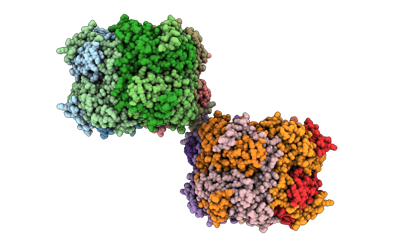 3JSK image