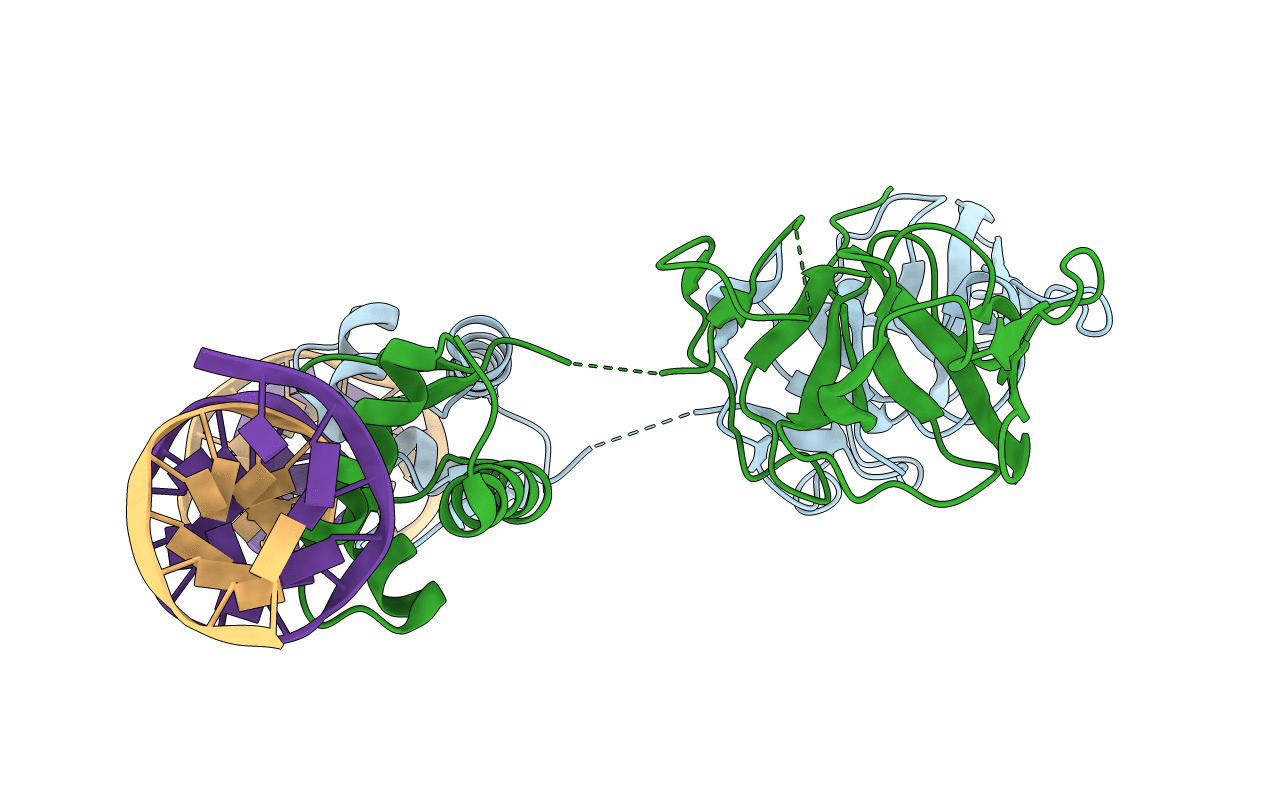 3JSP image