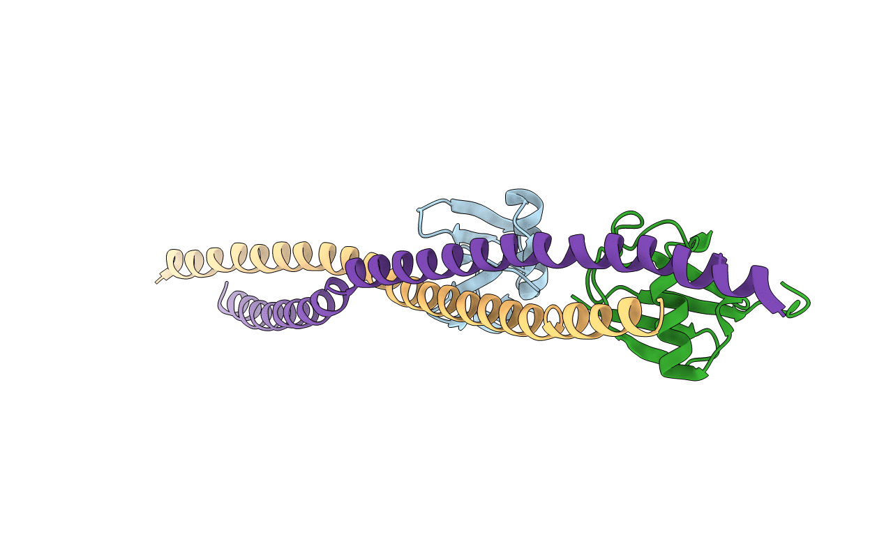 3JSV image