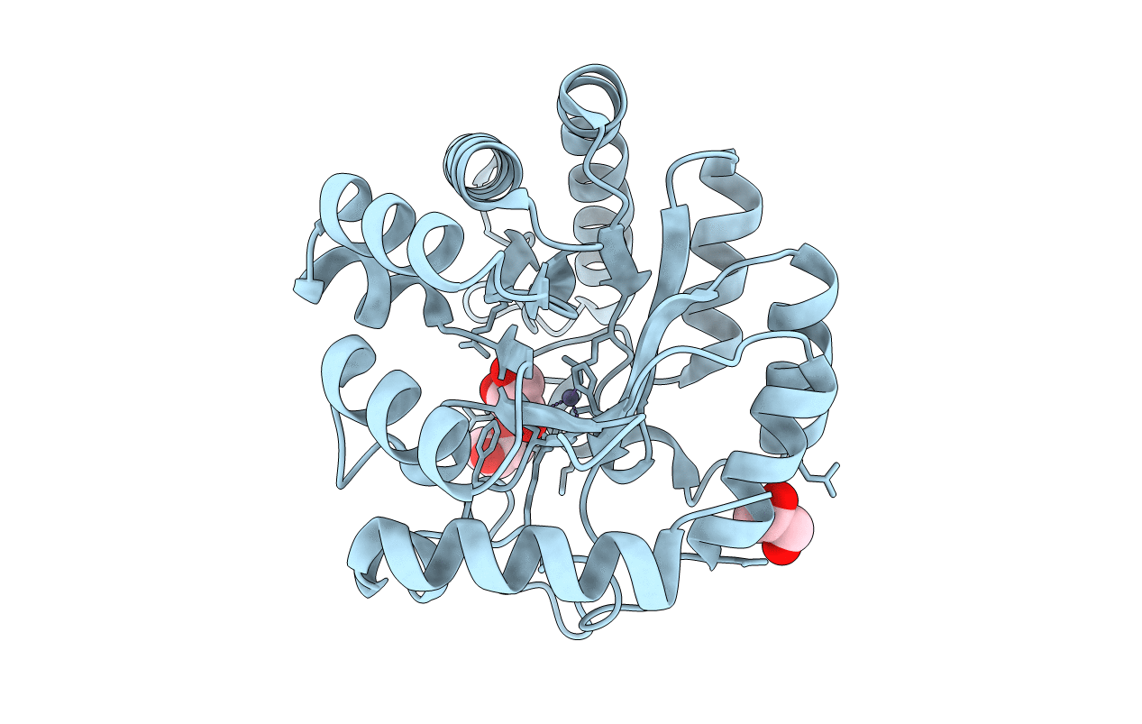 3JU2 image