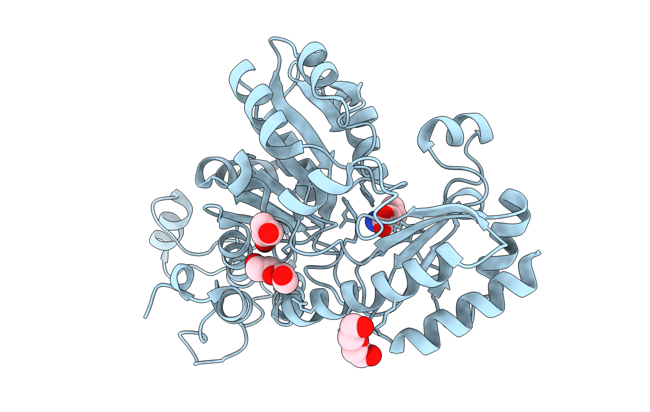 3JWB image