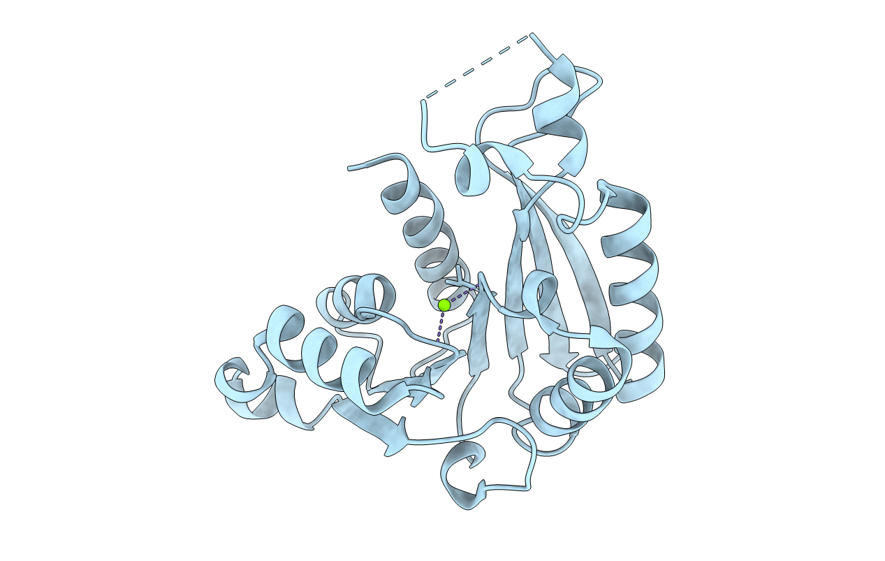 3JWG image