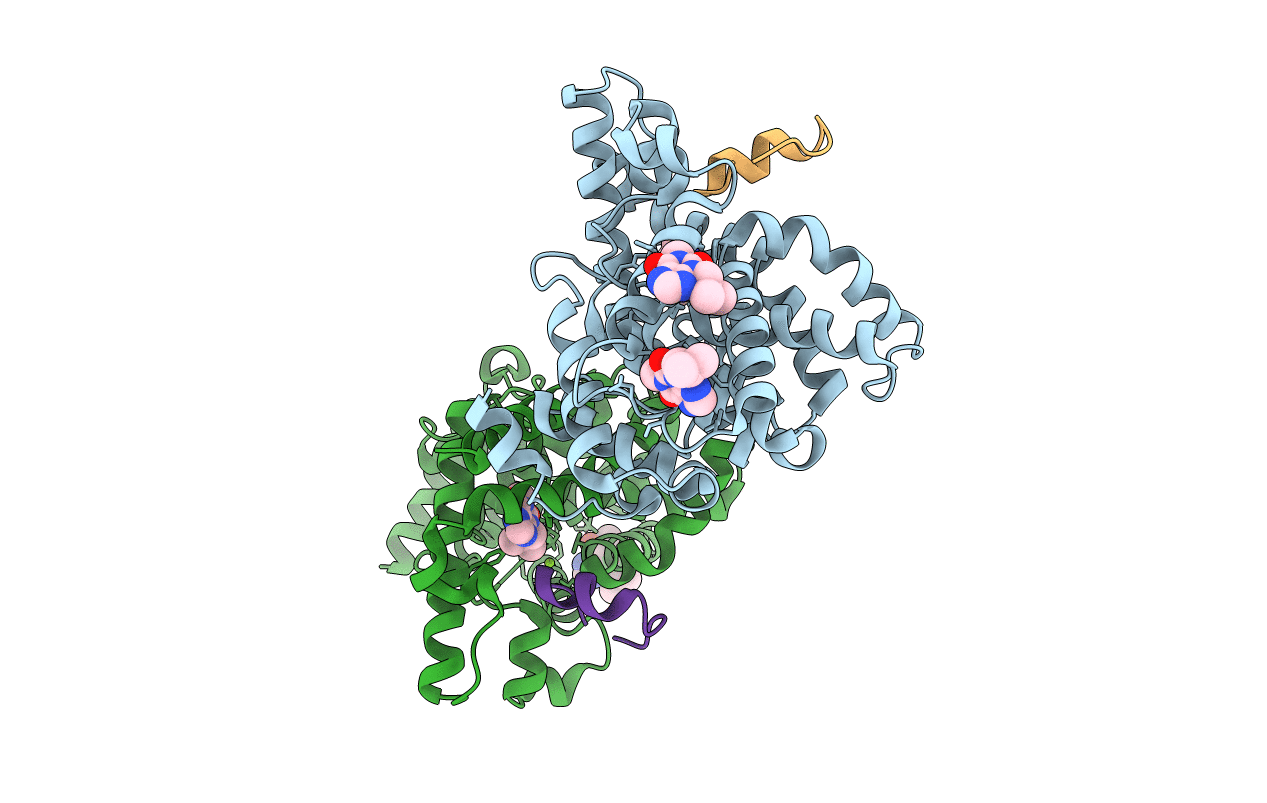 3JWR image