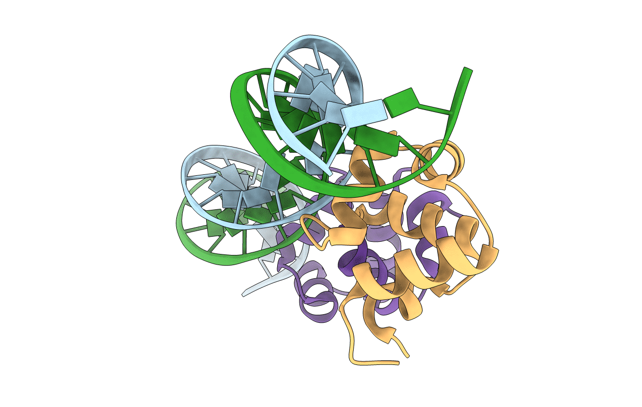 3JXB image