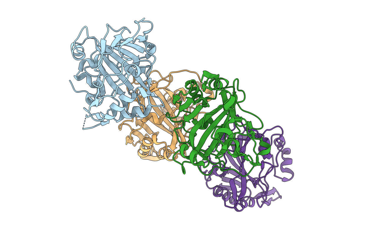 3JXG image