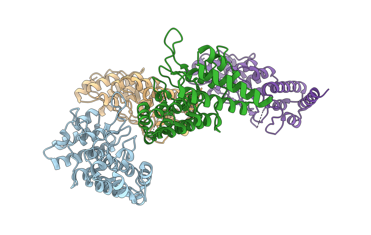 3JXI image