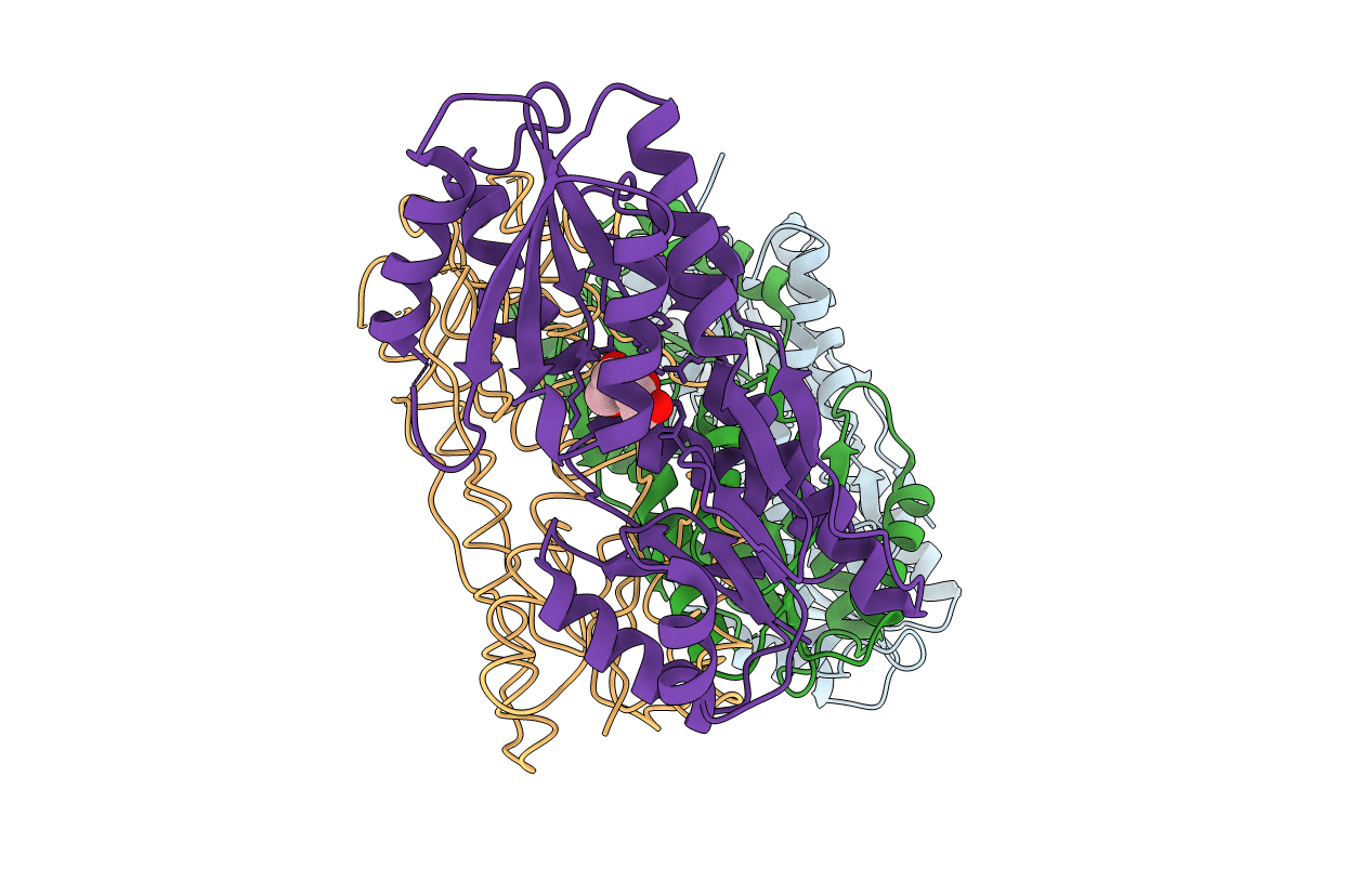 3JY6 image