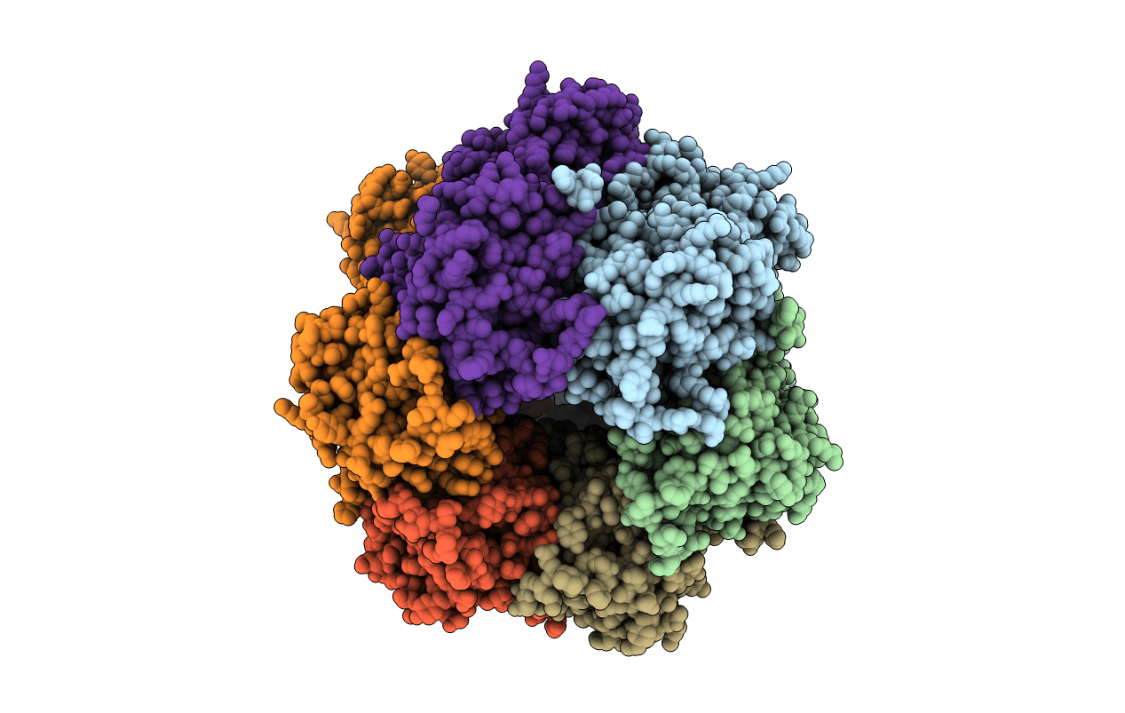 3JZM image