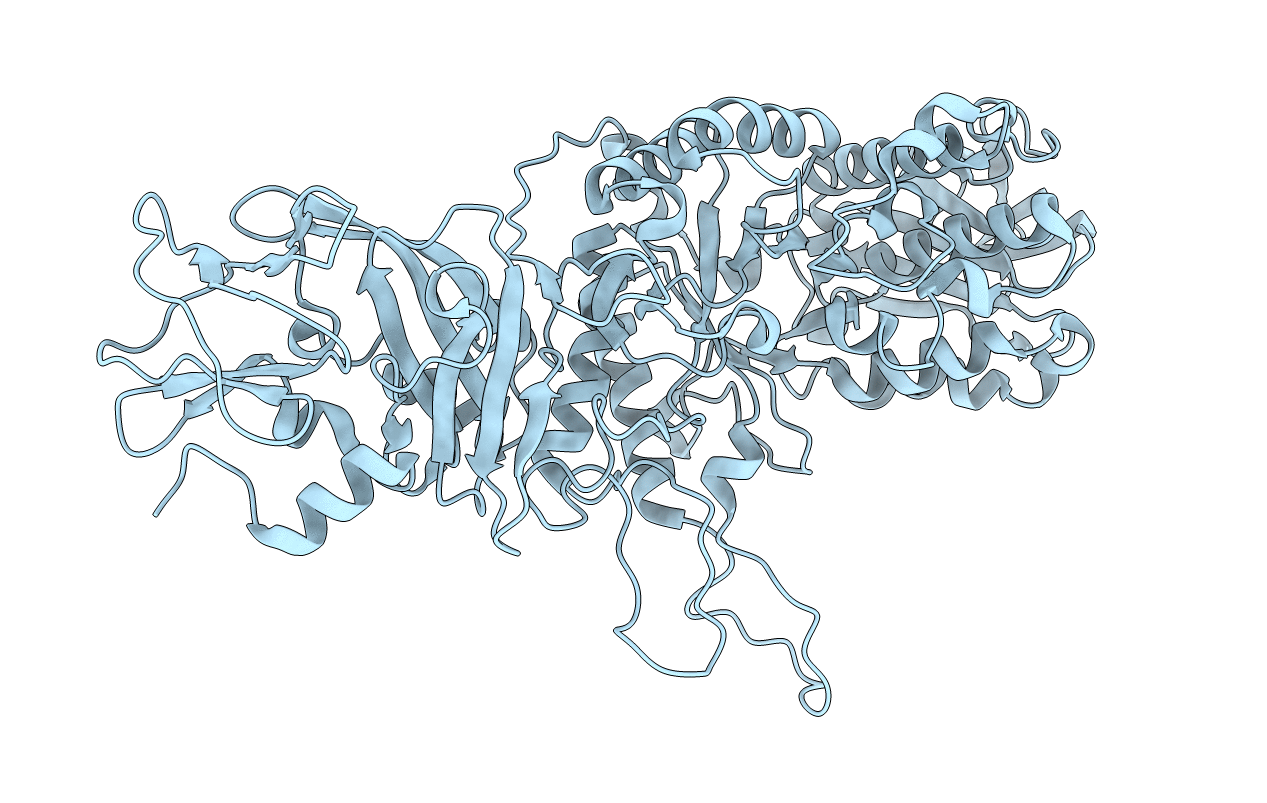3K1D image