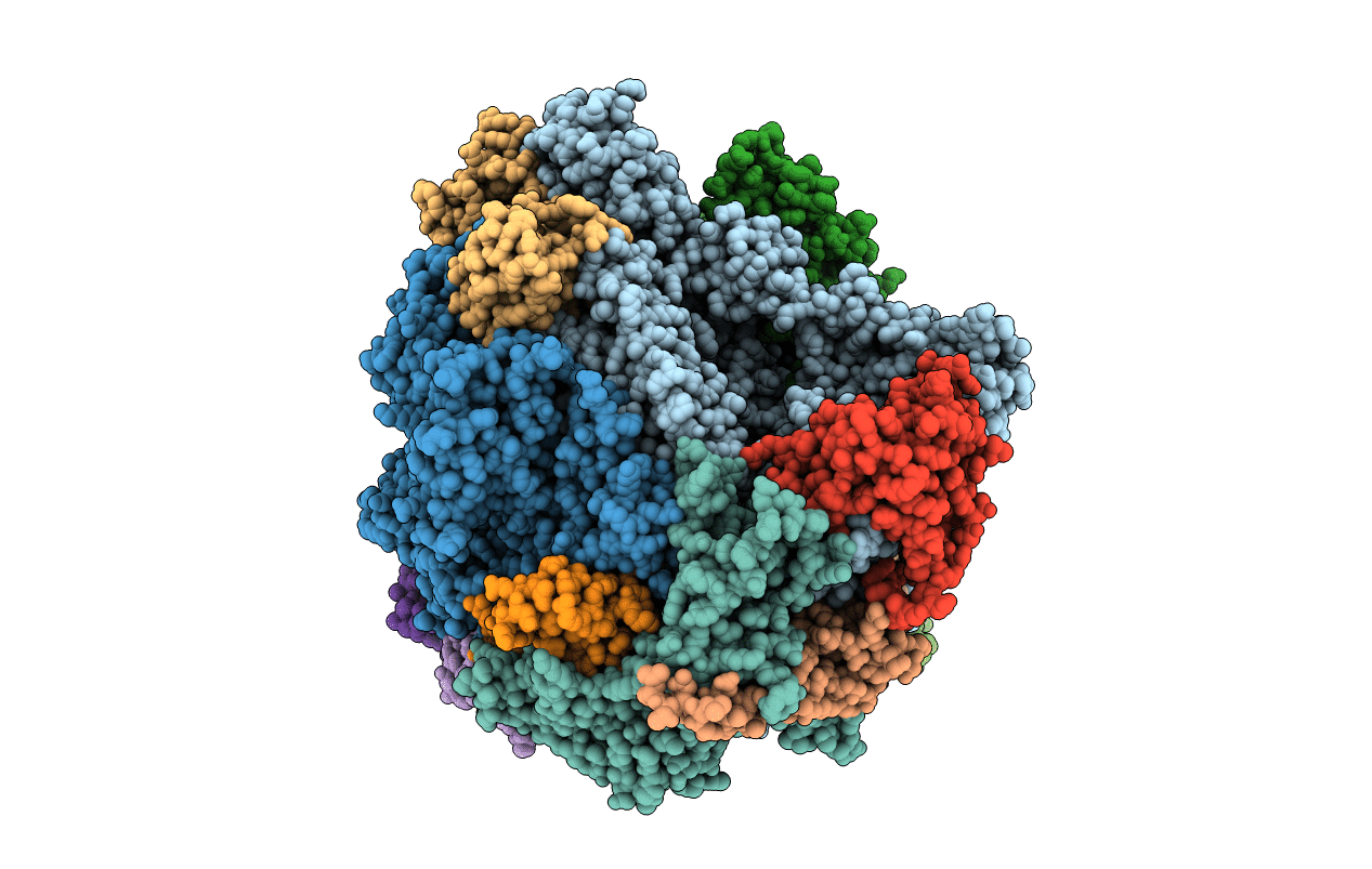 3K1F image