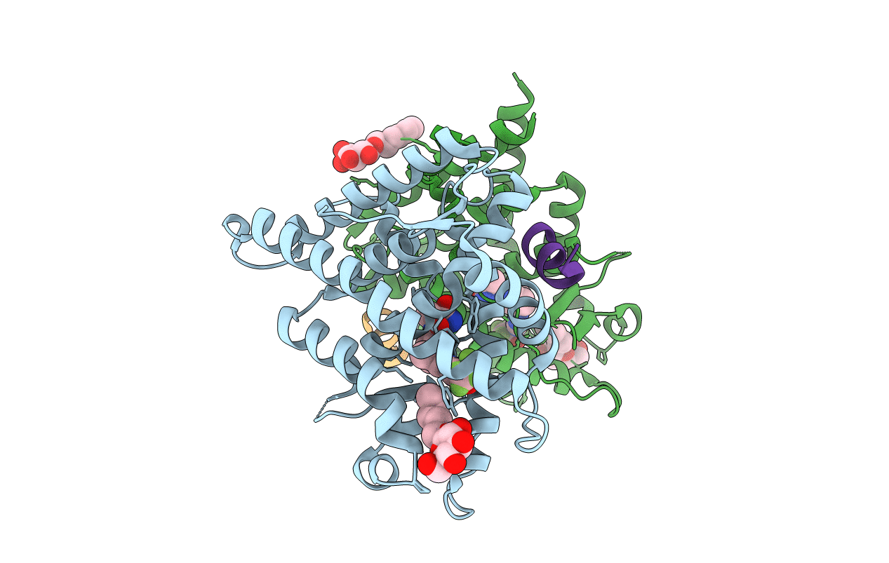 3K22 image