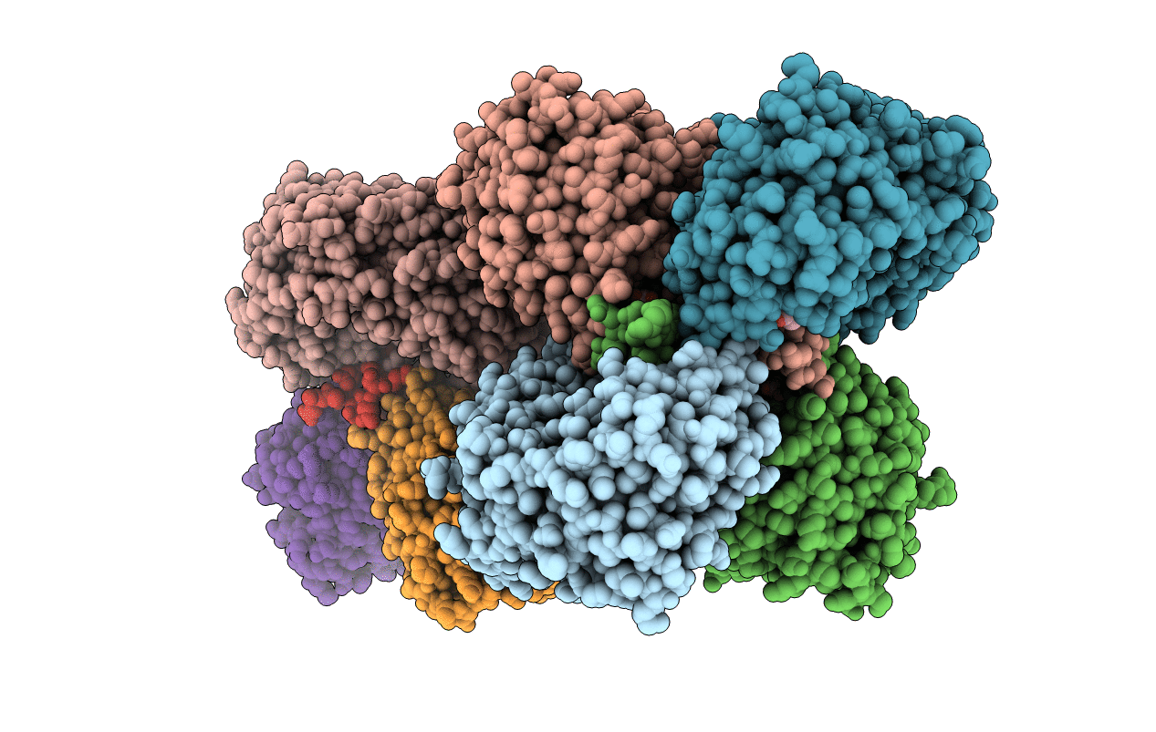 3K2W image