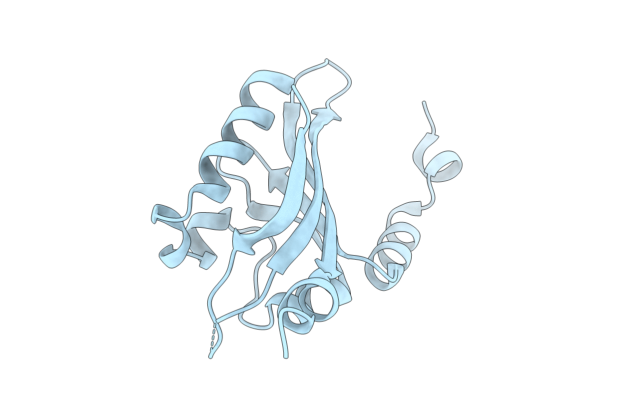3K3D image