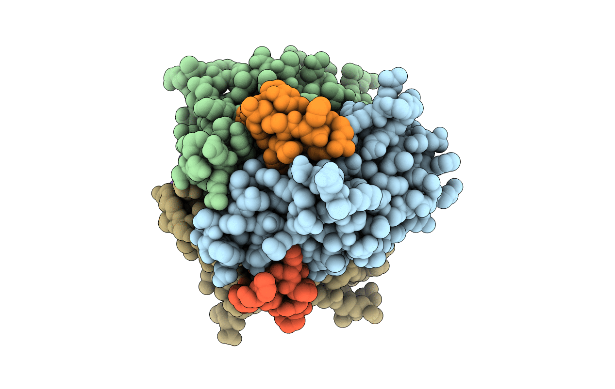 3K48 image