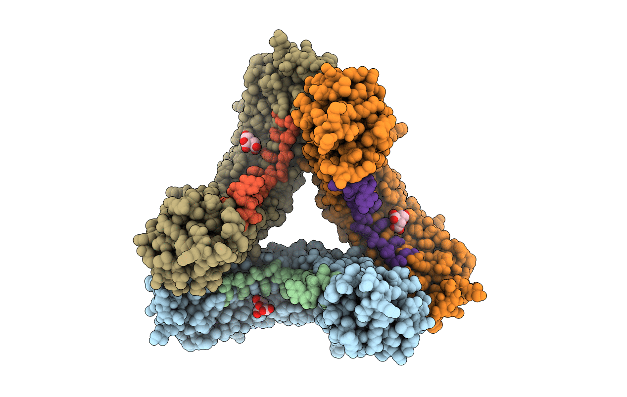 3k49 image