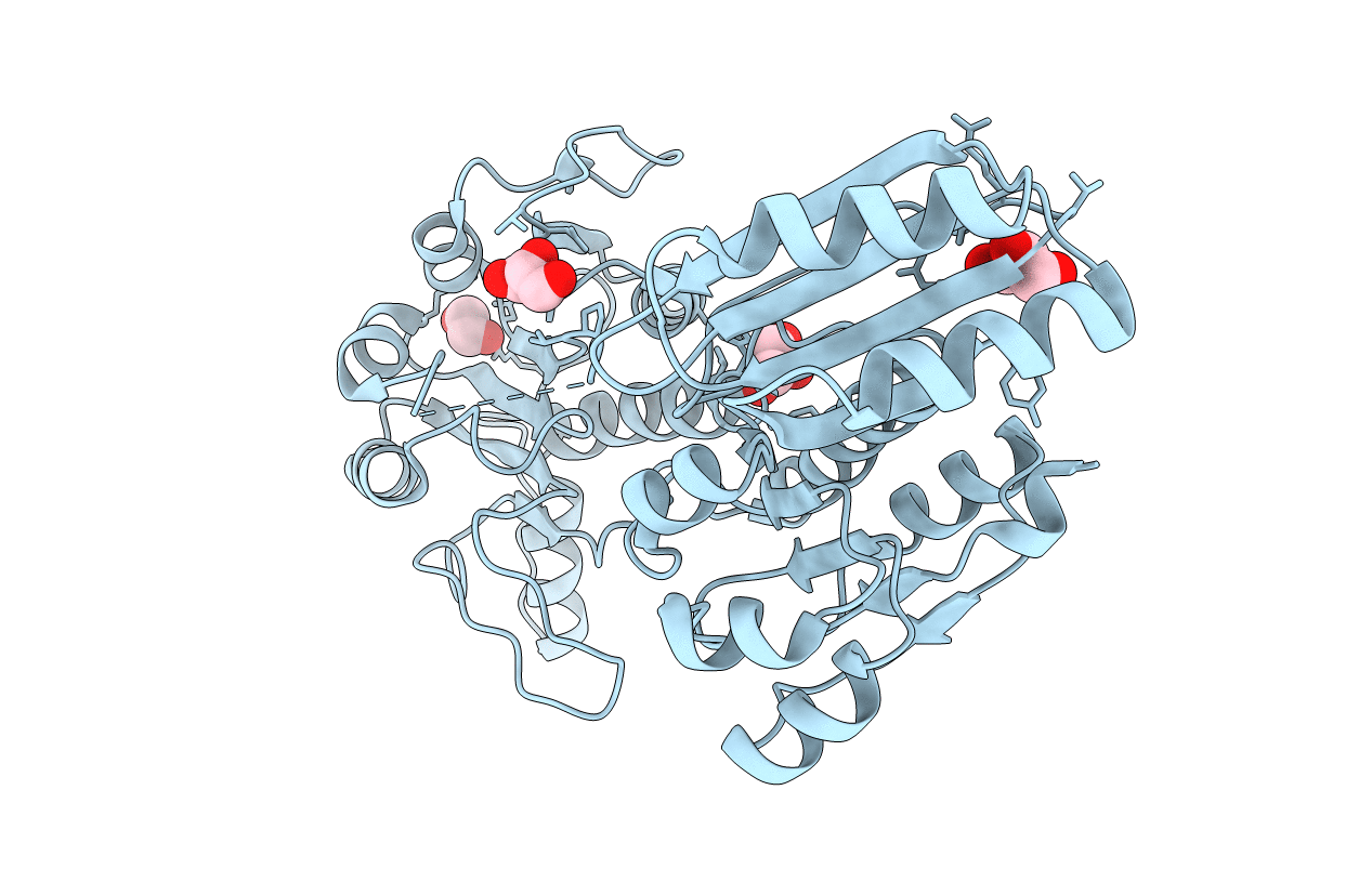 3K5P image