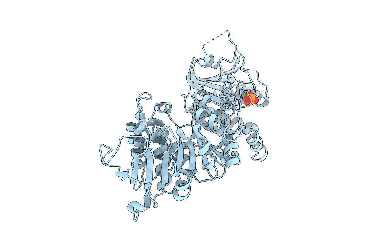 3K5W image