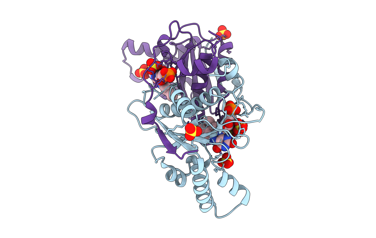 3K6H image