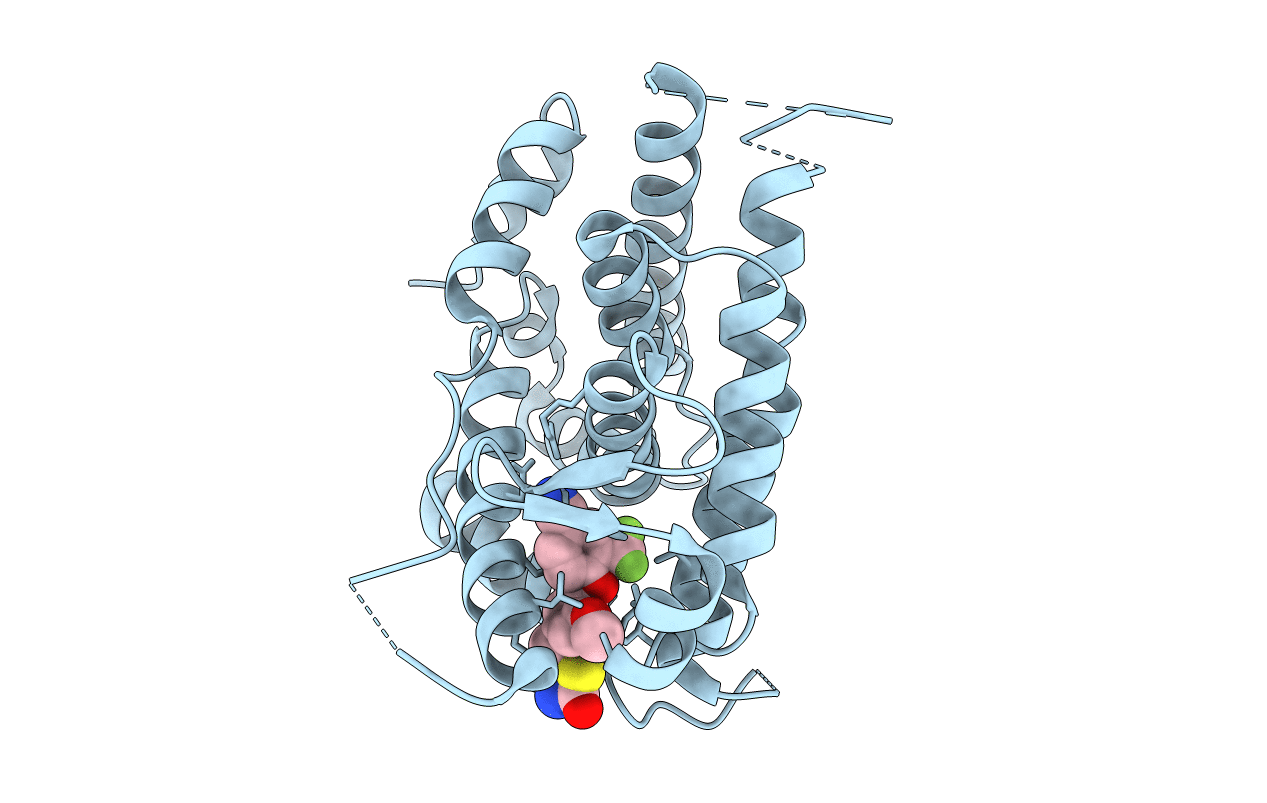 3K6P image