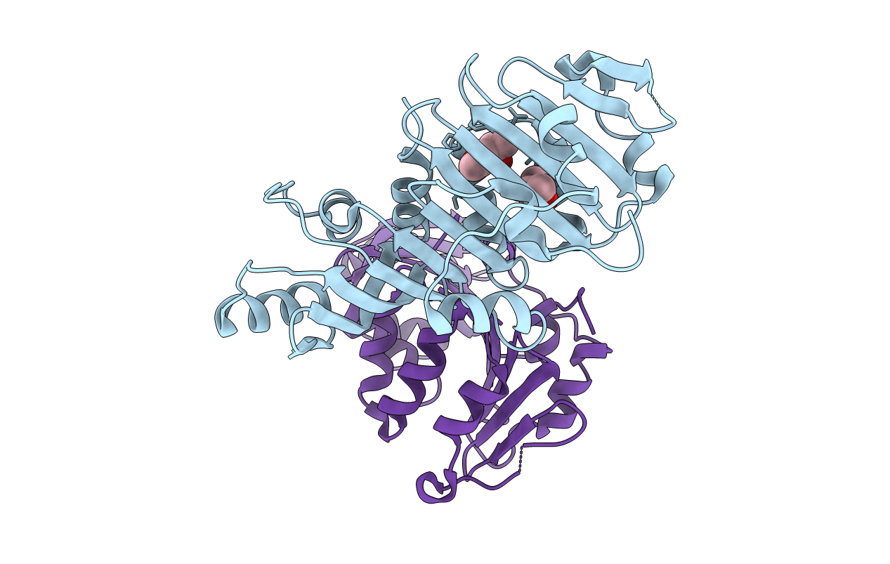 3K8H image
