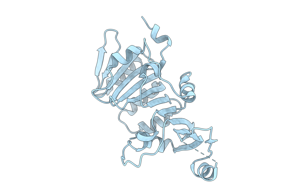 3K8I image