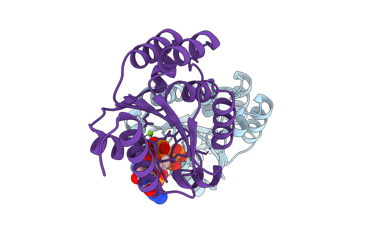 3KB2 image
