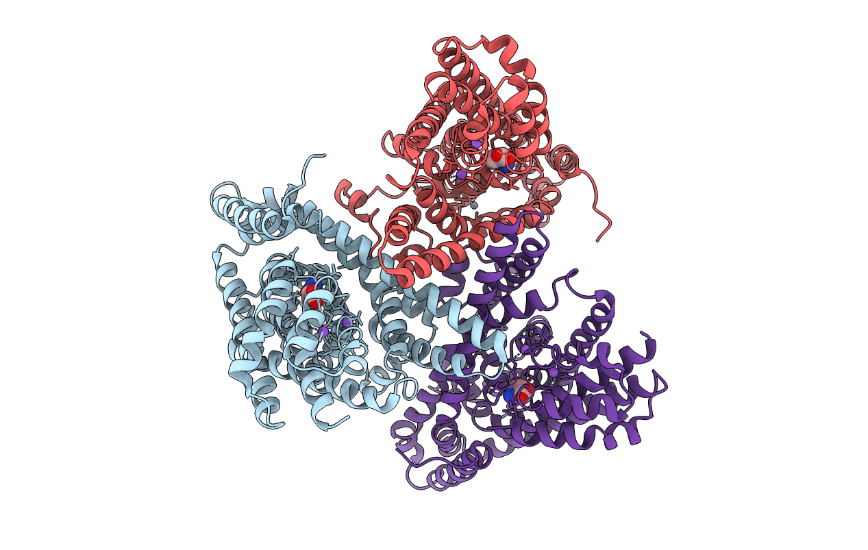 3KBC image